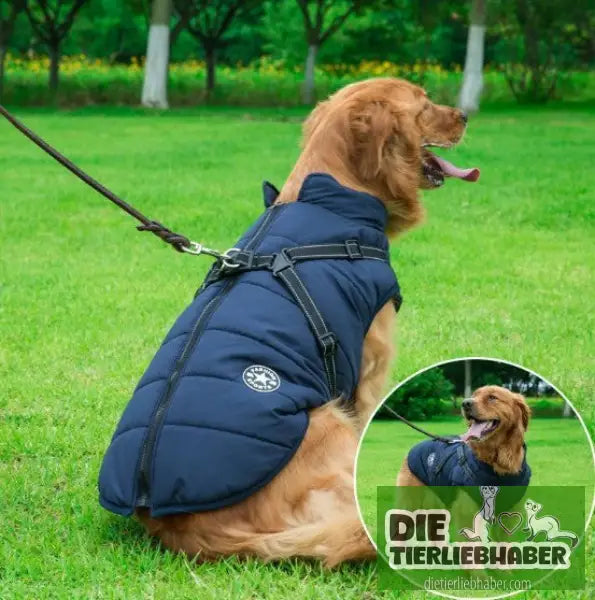 Haustier-Baumwollkleidung Winterkleidung - Navy Blue / 5XL - Hunde und Katzenkleidung
