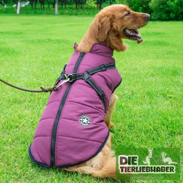 Haustier-Baumwollkleidung Winterkleidung - Purple / 3XL - Hunde und Katzenkleidung