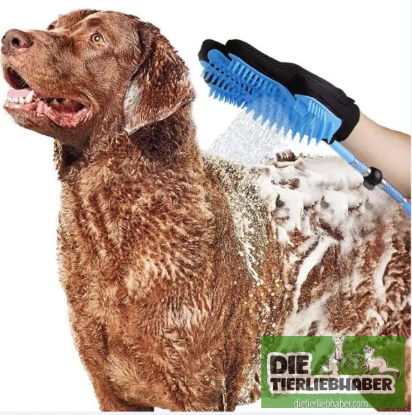 Haustier Duschhandschuh inkl. Schlauch - Blue - Hunde Zubehör