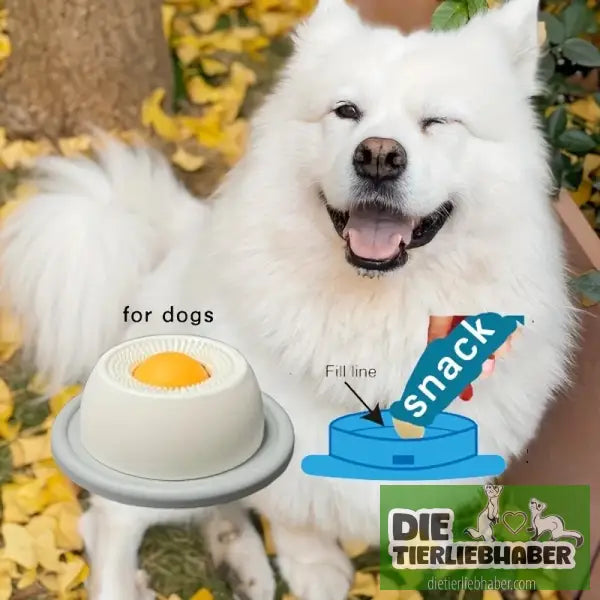 Haustier-Leckmatte zum Joghurtlecken – Langsames Füttern für Hunde & Katzen