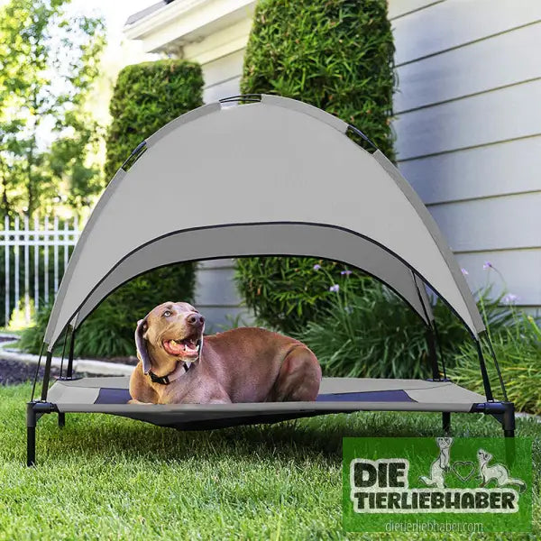 Haustier Überdachtes Hochbett Feldbett Sonnenschutzzelt - Sonnenliege für Hunde oder Katzen