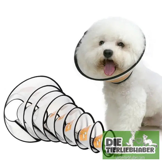 Haustierkragen nach OP´s - Haustierbedarf