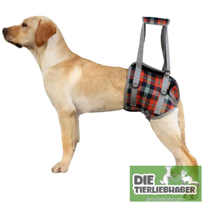 Hilfsgurt für Haustierbeine – Hinterbeine - Hunde Zubehör