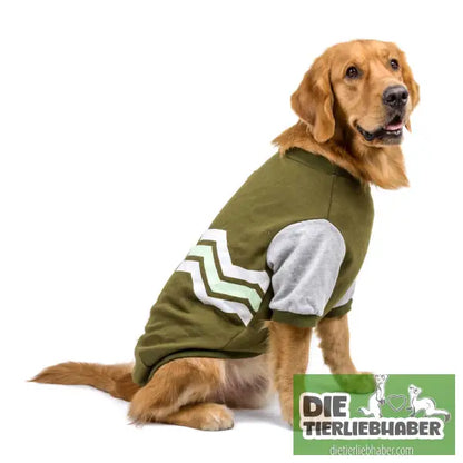 Hoodie-Hundekleidung - Green / 3xl - Hunde und Katzenkleidung