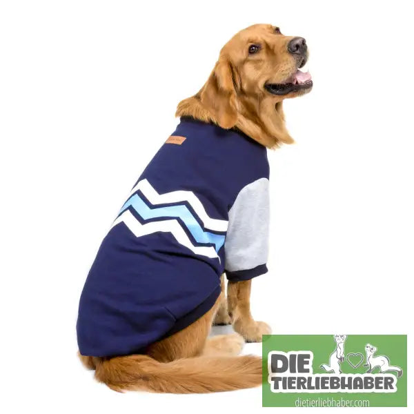 Hoodie-Hundekleidung - Hunde und Katzenkleidung
