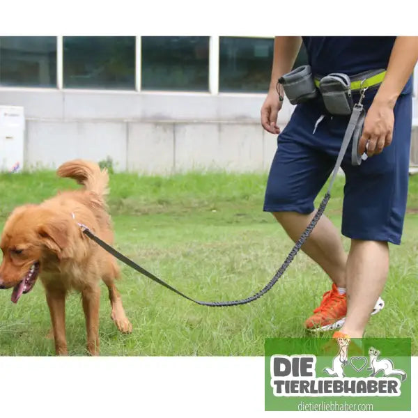 Hunde Joggingleine - Gray / Q1set - Hunde Zubehör