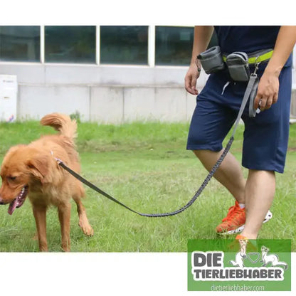 Hunde Joggingleine - Gray / Q1set - Hunde Zubehör