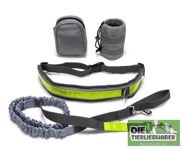 Hunde Joggingleine - Gray / Q1set - Hunde Zubehör