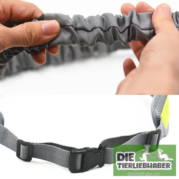 Hunde Joggingleine - Gray / Q1set - Hunde Zubehör