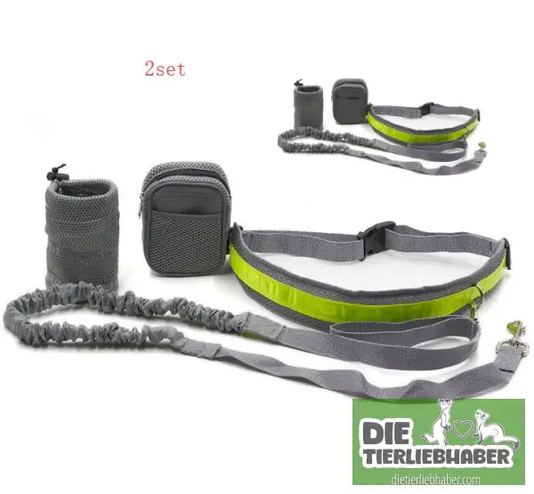 Hunde Joggingleine - Gray / Q1set - Hunde Zubehör