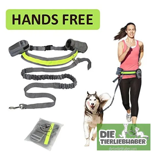 Hunde Joggingleine - Gray / Q1set - Hunde Zubehör