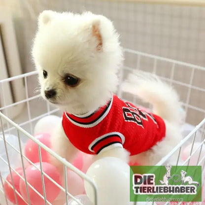 Hunde-Sommerkleidung - Hunde und Katzenkleidung
