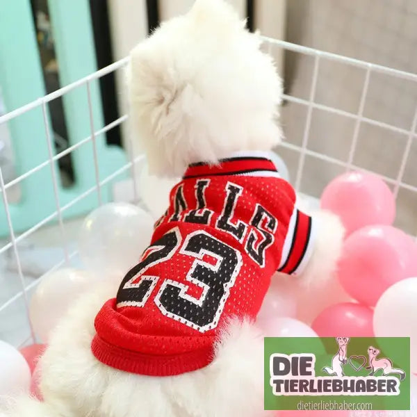 Hunde-Sommerkleidung - Red / Number10 - Hunde und Katzenkleidung