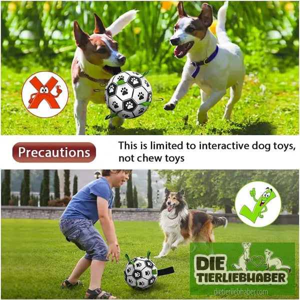 Hundefußball - Tierspielzeug