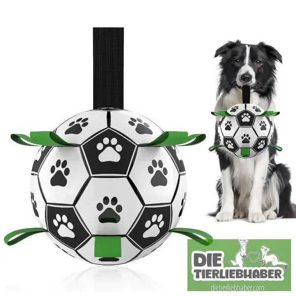 Hundefußball - Tierspielzeug