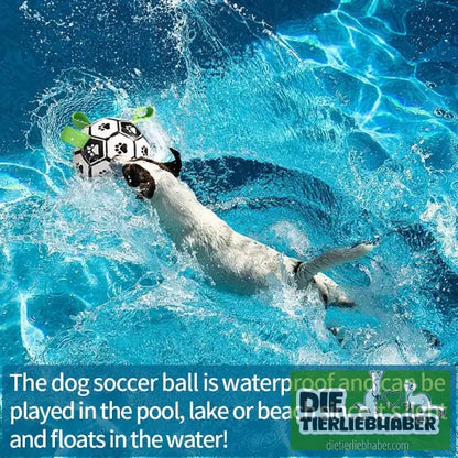 Hundefußball - Tierspielzeug