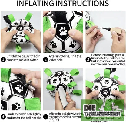 Hundefußball - Tierspielzeug