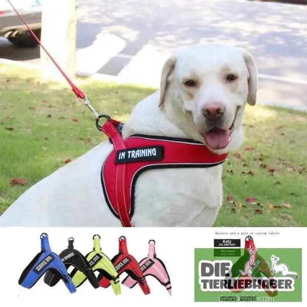 Hundegeschirr welches man personalisieren kann