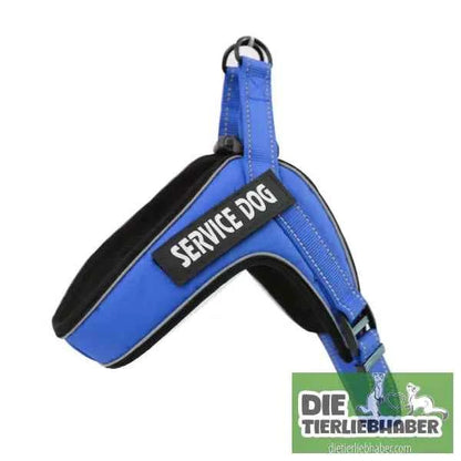 Hundegeschirr welches man personalisieren kann