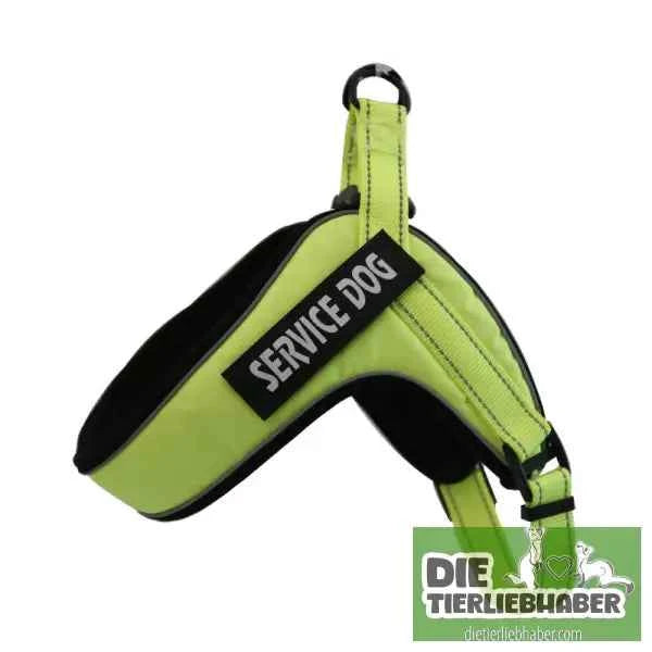 Hundegeschirr welches man personalisieren kann