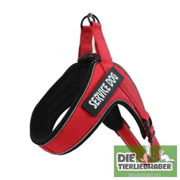 Hundegeschirr welches man personalisieren kann