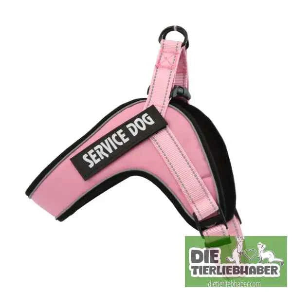 Hundegeschirr welches man personalisieren kann