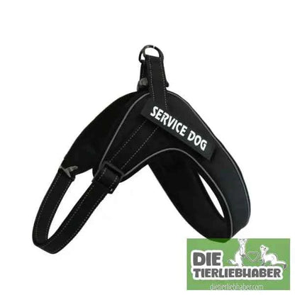 Hundegeschirr welches man personalisieren kann