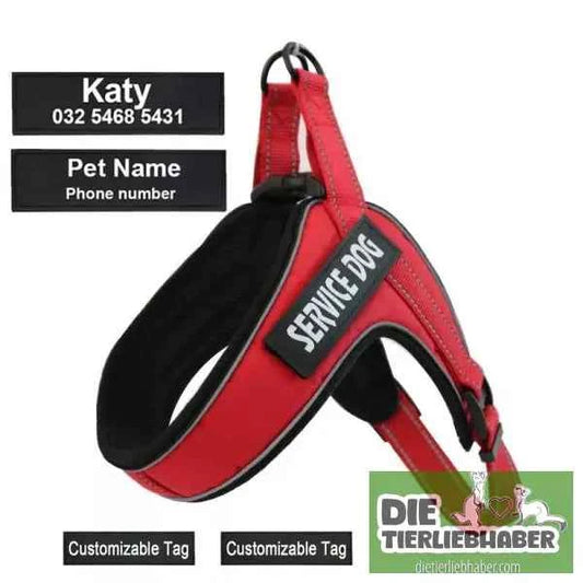 Hundegeschirr welches man personalisieren kann
