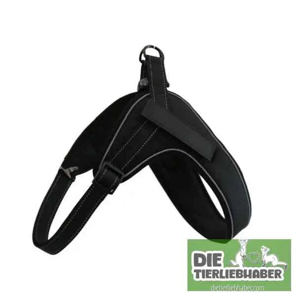 Hundegeschirr welches man personalisieren kann