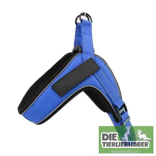 Hundegeschirr welches man personalisieren kann