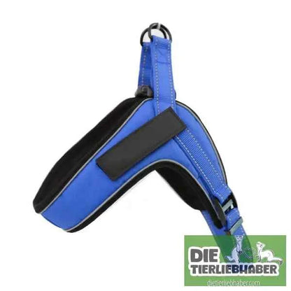 Hundegeschirr welches man personalisieren kann