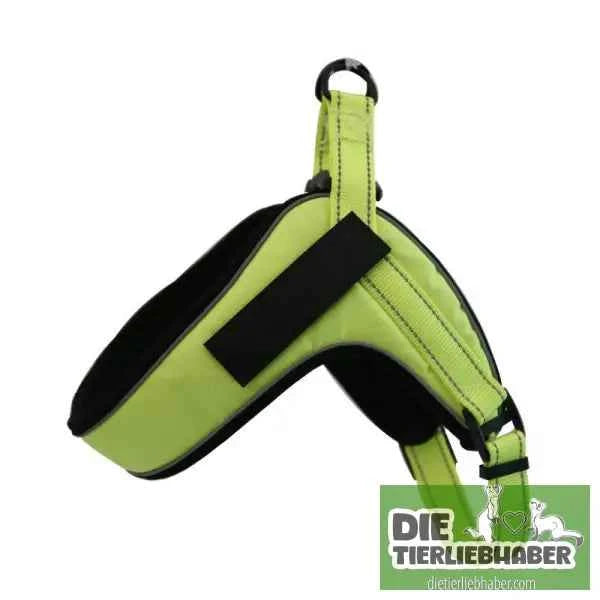 Hundegeschirr welches man personalisieren kann