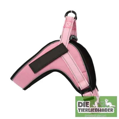 Hundegeschirr welches man personalisieren kann