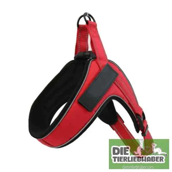 Hundegeschirr welches man personalisieren kann