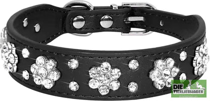 Hundehalsband aus PU-Leder mit Strass-Blumenmuster und Nieten - Haustierbedarf