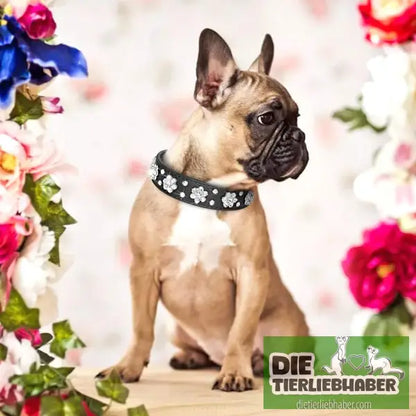 Hundehalsband aus PU-Leder mit Strass-Blumenmuster und Nieten - Haustierbedarf
