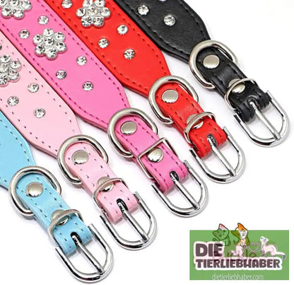 Hundehalsband aus PU-Leder mit Strass-Blumenmuster und Nieten - Haustierbedarf