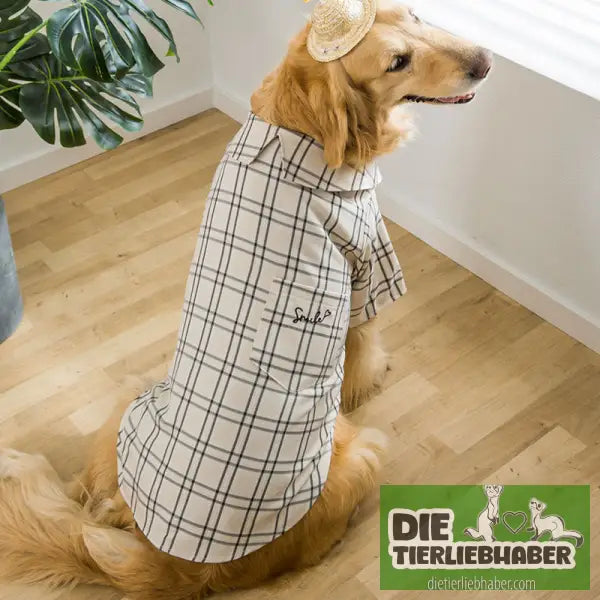 Hundehemd im Sherlok Holmes Style - Hundejacke
