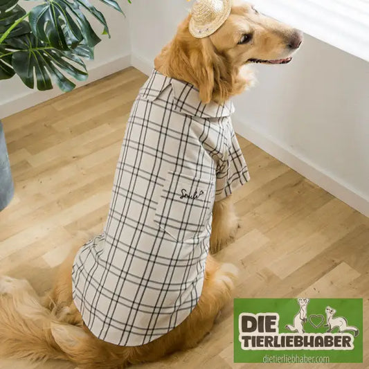Hundehemd im Sherlok Holmes Style - Hundejacke