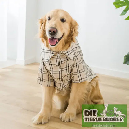 Hundehemd im Sherlok Holmes Style - Hundejacke