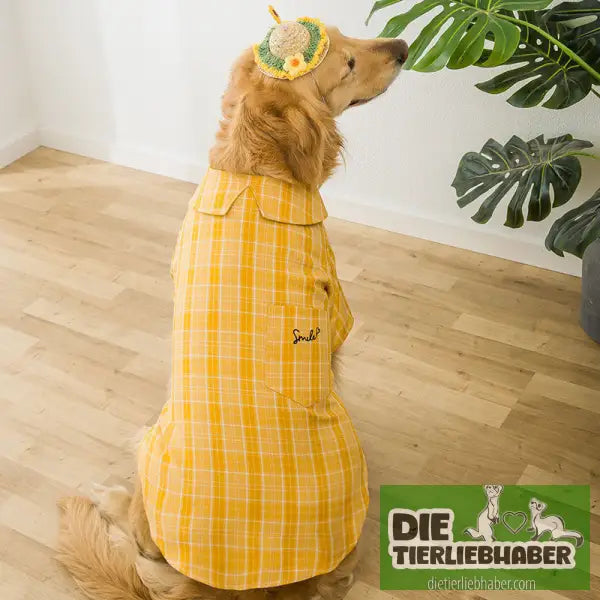 Hundehemd im Sherlok Holmes Style - Yellow / 4XL - Hundejacke