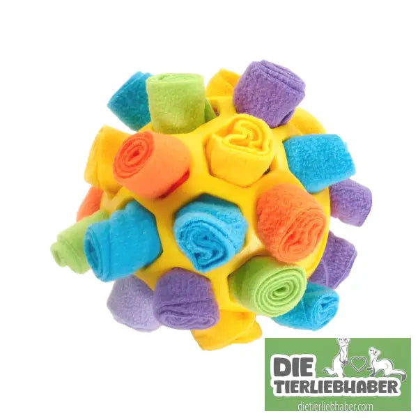 Hundeschnüffelball - HSQCHD - Suchspiel