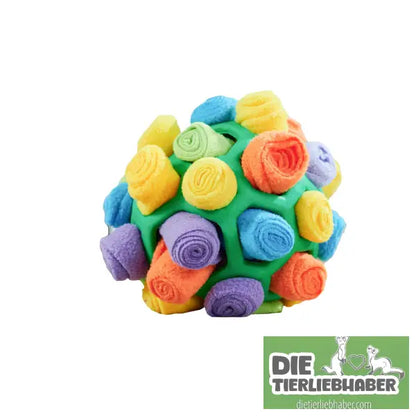 Hundeschnüffelball - LSQCHD - Suchspiel