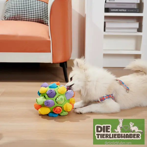 Hundeschnüffelball - Suchspiel