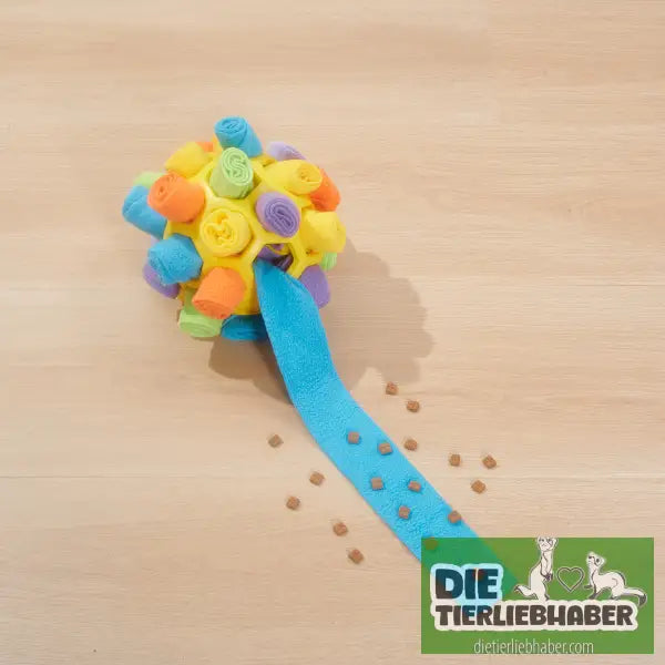 Hundeschnüffelball - Suchspiel