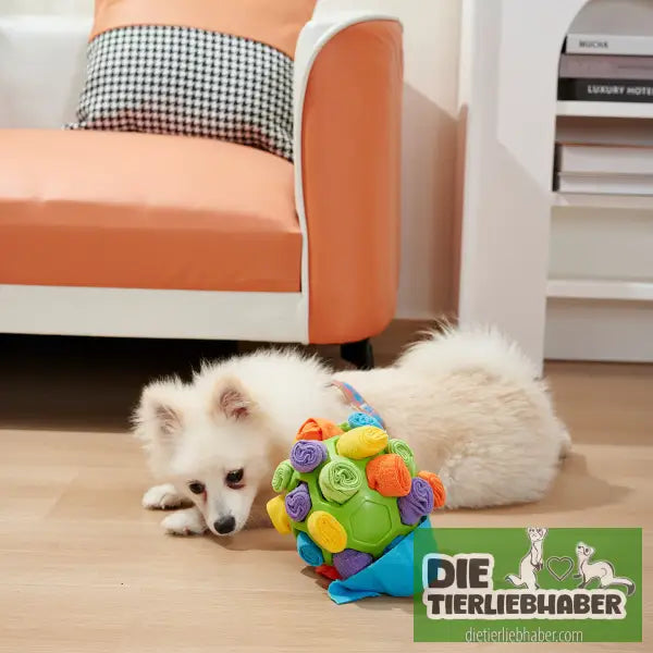 Hundeschnüffelball - Suchspiel