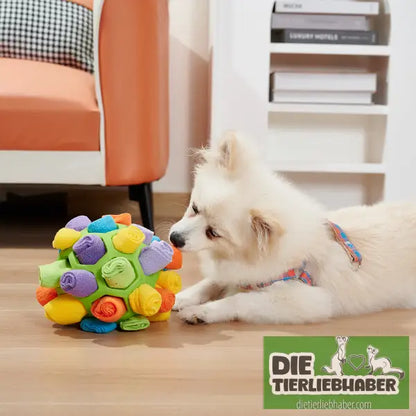 Hundeschnüffelball - Suchspiel