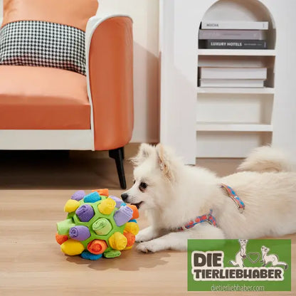 Hundeschnüffelball - Suchspiel