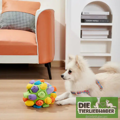 Hundeschnüffelball - Suchspiel