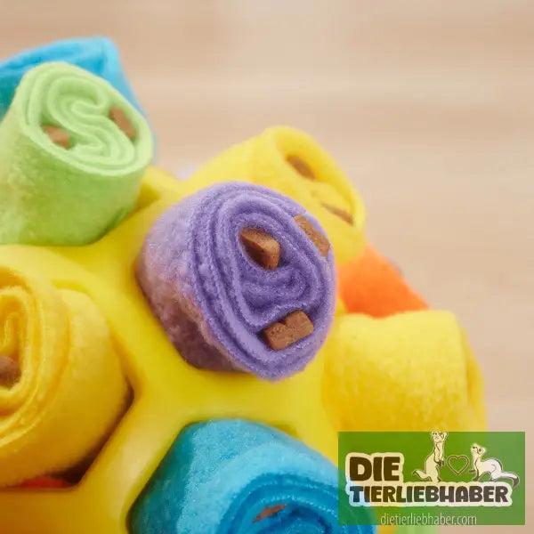 Hundeschnüffelball - Suchspiel